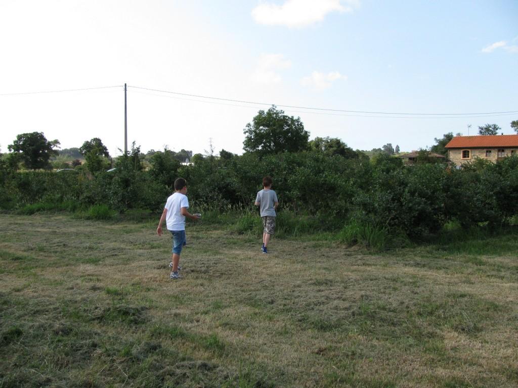 Recolectando frutos en El Malaín