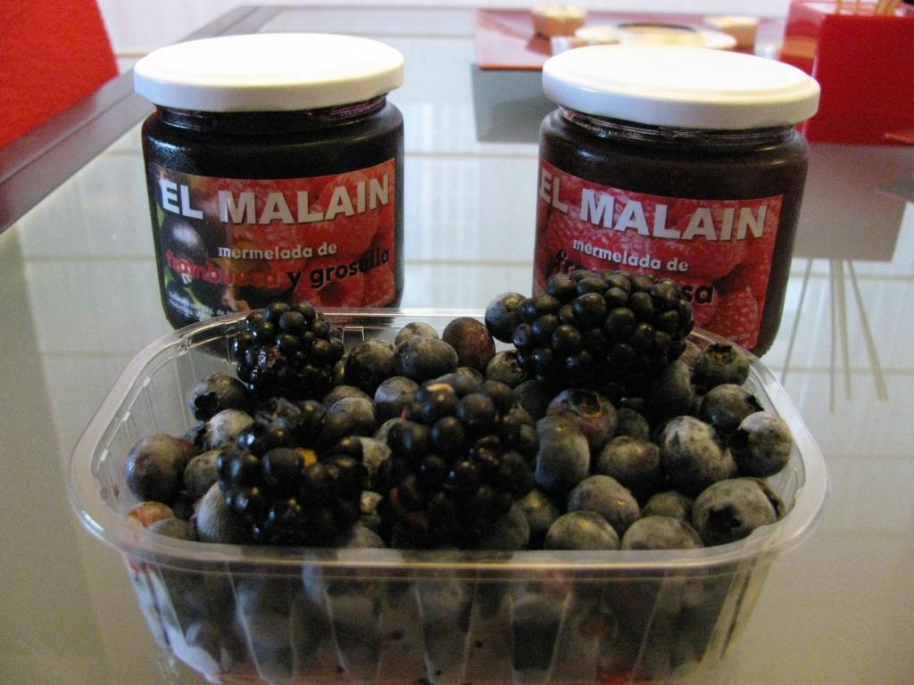 Recolectando frutos en El Malaín