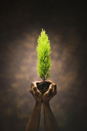 La Ciencia de la Vida: La Gran Amenaza contra la Vida en el Planeta