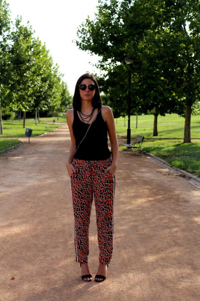  photo IMG_0846_zpse70662b8.jpg