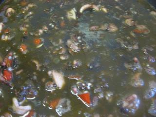 ARROZ NEGRO CON CALAMARES