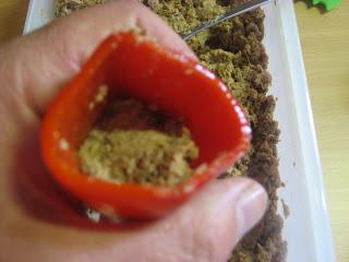 PIMIENTOS DEL PIQUILLO RELLENOS