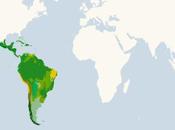 Territorios biogeográficos, neotrópico