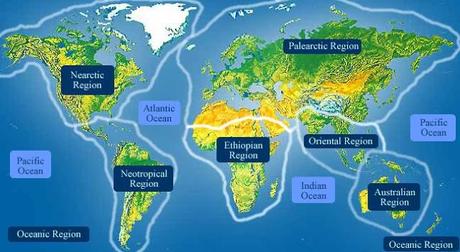 Los seis territorios biogeográficos