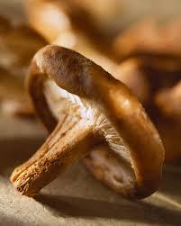 shiitake Ajoblanco con Shiitake: una nutritiva sopa fría de verano con un toque macrobiótico