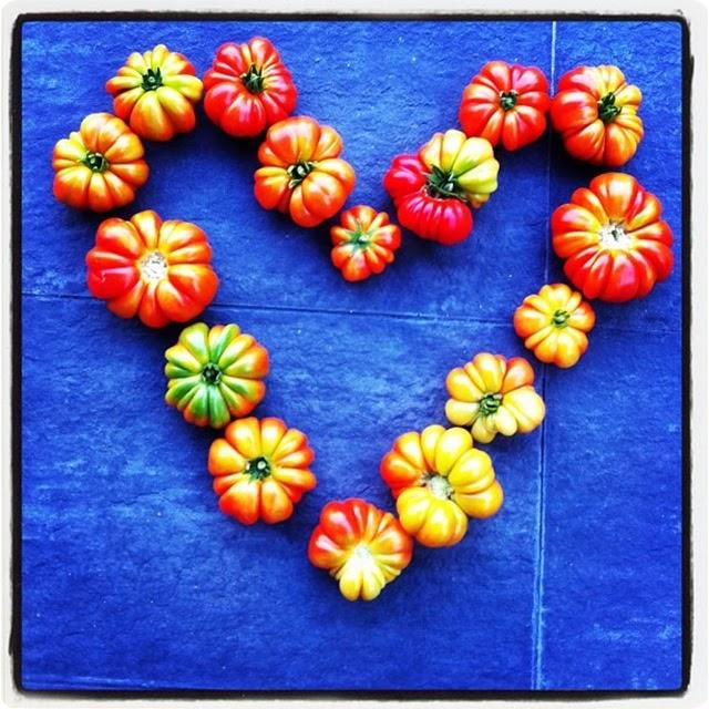 AMOR