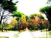 poco arte. Otoño. Casita