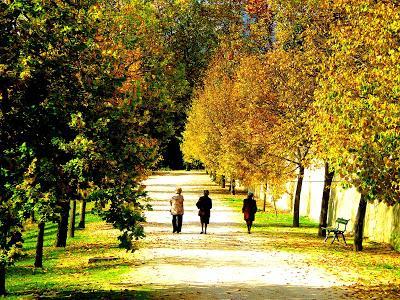 Y un poco de arte. Otoño. En la Casita