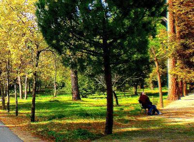 Y un poco de arte. Otoño. En la Casita