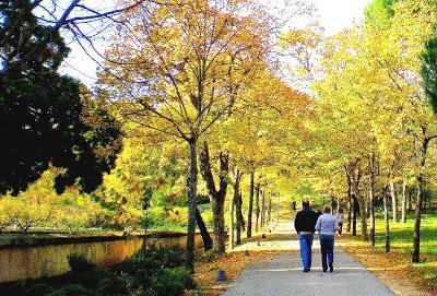 Y un poco de arte. Otoño. En la Casita