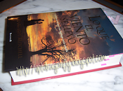 Este semana acompañarán...