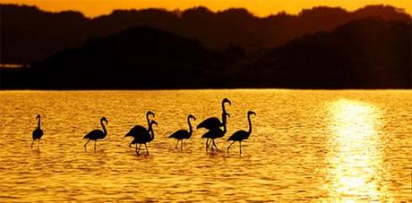 Formentera…. un paraíso mágico