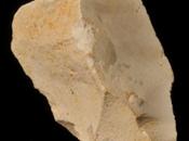 Descubierta Atapuerca herramienta antigua Europa occidental