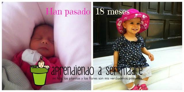 18 meses de Lola