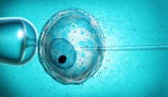 reproduccion asistida - fecundacion in vitro