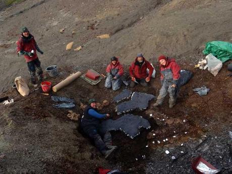 excavación de fósiles marinos en Svalbard, Noruega