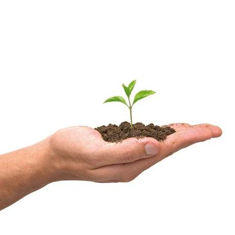 ¿Cómo puedo pensar globlalmente actuando localmente?