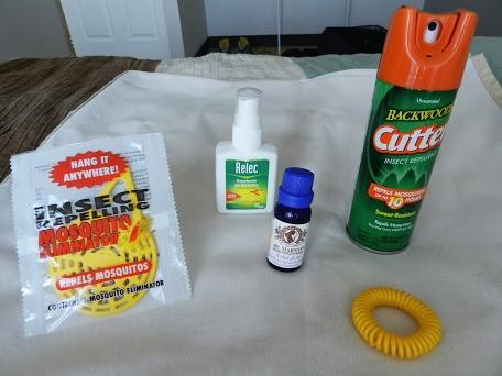 Primeros días en San José