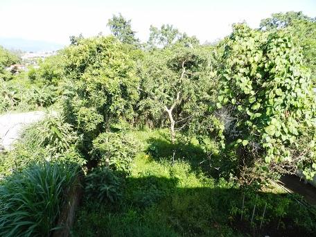 Primeros días en San José