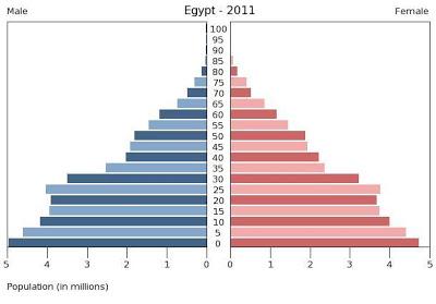 Cuaderno de Bitácora de la Crisis: Egipto, bomba maltusiana