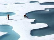 vida marina reubica rápidamente respuesta cambio climático