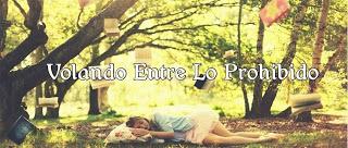 Descubre, Visita, Comparte (47)