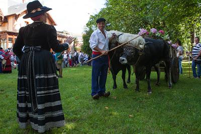 Día de Cantabria 2013.