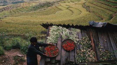 La agricultura de Botán será ecológica por completo.