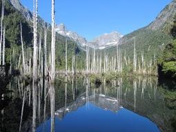 Congreso Latinoamericano: Avances y desafíos en la conservación del patrimonio natural de Chile y Latinoamérica