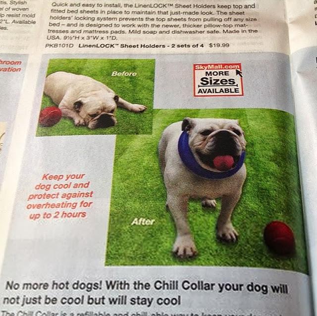 Productos inútiles que puedes comprar en un avión