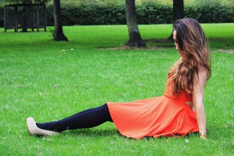 Image Hosted by ImageShack.us