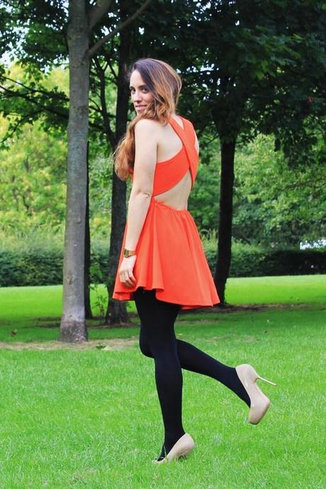 Image Hosted by ImageShack.us