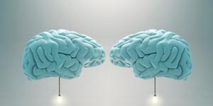 Nociones sobre Management: Sumar Cerebros es Multiplicar Resultados