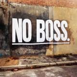 Nociones sobre Management: Empresas sin Jefes. Bienvenidos a la Holacracia