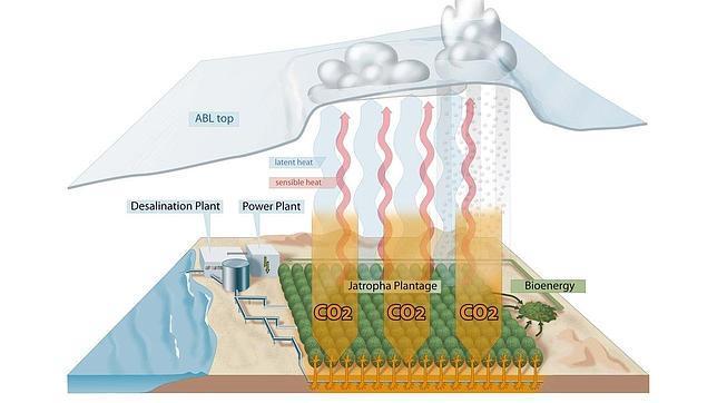 El Futuro ya está aquí: Árboles en el desierto para mitigar los efectos del Cambio Climático