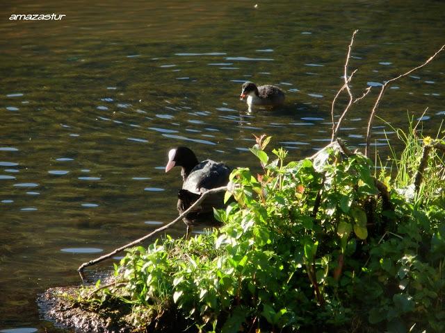 punta gregoriana y torre de los cabrones de peña blanca