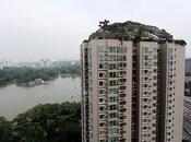 Construye monte bloque pisos enfada vecinos