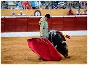 Desde tercio