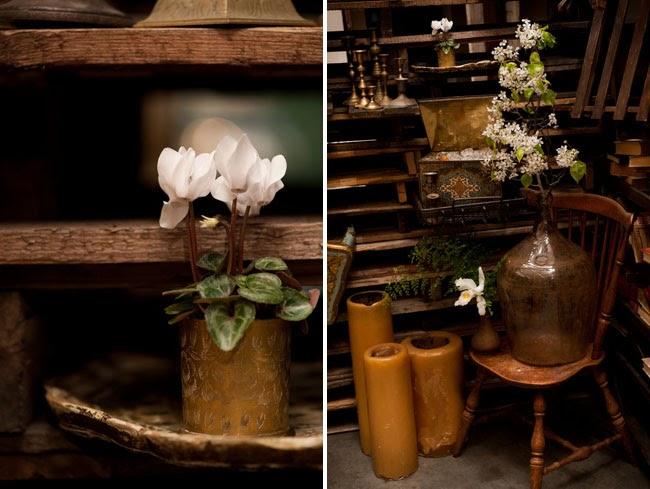 Mesa a lo Indiana Jones!