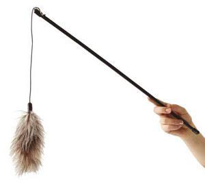 Cómo ejercitar a un gato dentro de casa juguete pluma para gatos