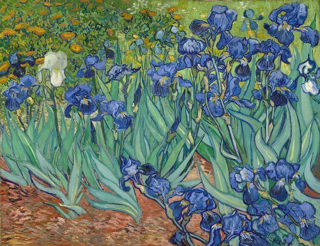 irises-vincent-van-gogh