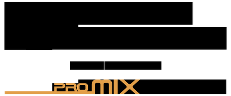 Logotipo Dash Berlín ProMixteca