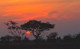 Serengeti, Tanzania