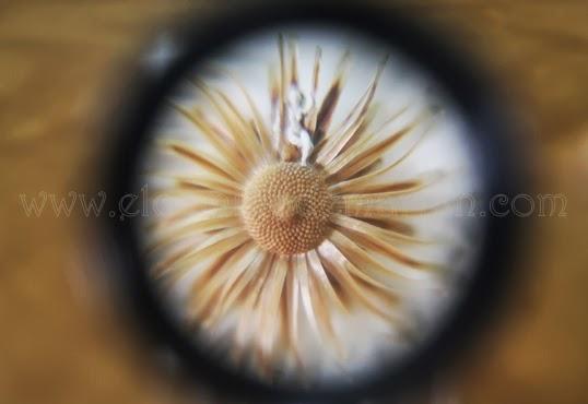 Un museo microgigante en un pequeño pueblo alicantino, Guadalest