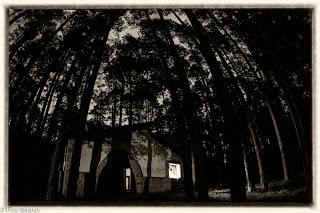 Noche en el Alto Tajo