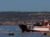 pesca tradicional Atún rojo Marruecos