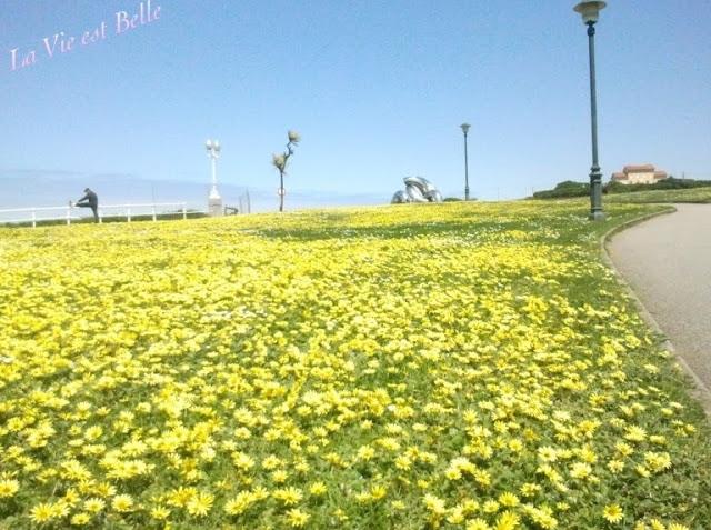 Playa de San Lorenzo