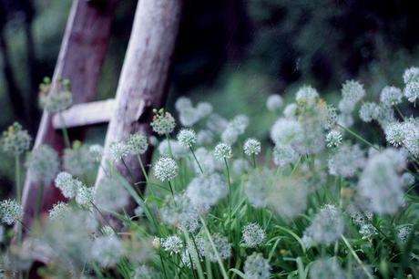 Hoy es un Buen Día...