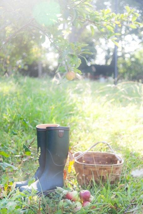 Hoy es un Buen Día...