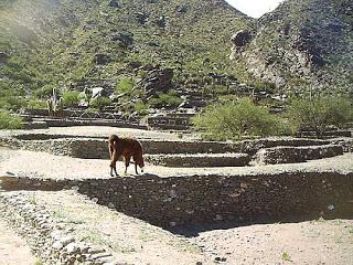 Ruinas de Quilmes. Argentina